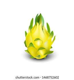 Red yellow dragon fruit, whole fruit and half. Tropical fruits for healthy lifestyle. Realistic 3d Design Element For Web Or Print Packaging. Vector Illustration. 