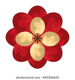 red and yellow flower front view over isolated background, vector illustration 