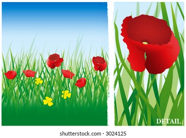 Red and Yellow flowers on grassy background