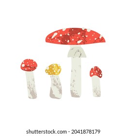 Red and yellow fly agaric, amanita muscaria. Poisonous inedible mushroom. Autumn seasonal forest fungi isolated on white. Vector flat cartoon illustration