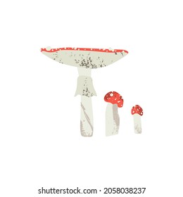Red and yellow fly agaric, amanita muscaria. Poisonous inedible mushroom. Autumn seasonal forest fungi isolated on white. Vector flat cartoon illustration
