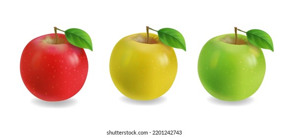 Red, yellow and green apples realistic set isolated on white background vector illustration