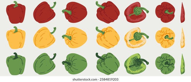 Red, yellow and green bell pepper vector. Fresh healthy vegetables. Flat style.	