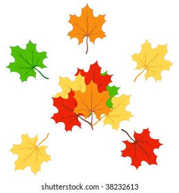 Red, yellow, green and orange maple leaves. Vector illustration.