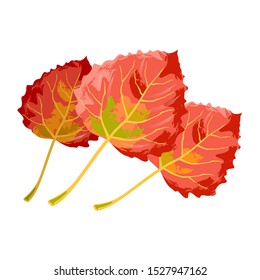 Red, yellow and green senescent leaves of aspen tree. Multicolor beauty of autumn foliage in parks, forests, botanical gardens. Seasonal sale element design. Vector cartoon isolated on white.