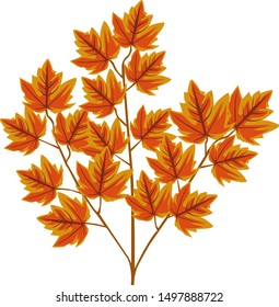 red and yellow maple leaves decorations for various designs