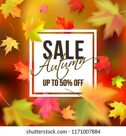 Red, yellow maple leaves on a colour blurred background. Photo realistic leaves big, small, blurry. White banner and black text autumn sale, up to 50 percent off for seasonal promotions, advertising.