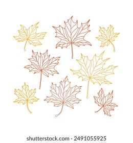 Red and yellow maple leaves with veins outline on white background. Autumn, fall season element set.