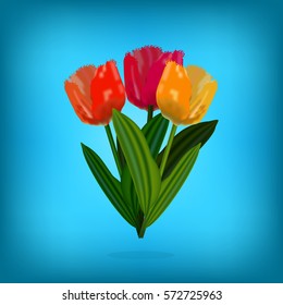 Red, yellow and orange bright tulip flowers with green leaves on blue blurred background. Vector illustration. Spring floral card design. Banner template. 