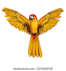 the red and yellow parrot flapped its wings
