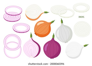 Red, yellow, pearl onion set isolated on white. Whole bulb, half, chopped rings. Vegetable Ingredients Flat design for menu, cafe, farmers market, vegetarian salad recipe, poster, emblem, sticker.