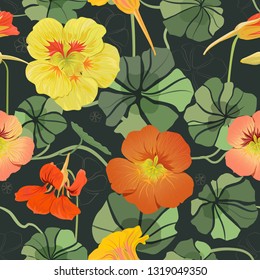 Red, yellow, pink, orange nasturtium flowers, green leaves on a dark background. Seamless pattern.