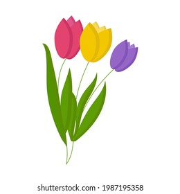 Red, yellow and purple tulips for use in web design
