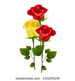 Red and yellow rose Isolated on a white background.