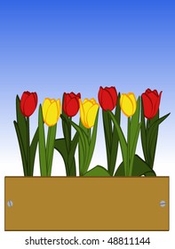 Red and yellow tulips in box