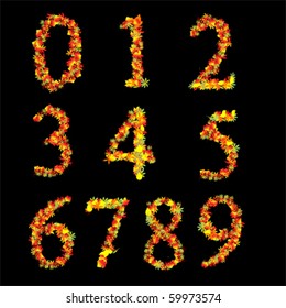 Red Yellow Vibrant Autumn Leaves Font Numbers