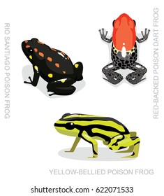 Red-Backed Poison Dart Frog Set Cartoon Vector Illustration