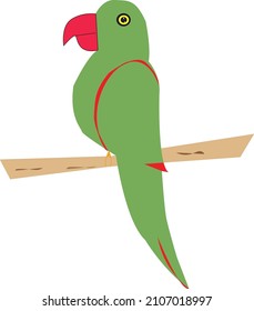 Red-bellied macaw orthopsittaca manilata isolated on white background.