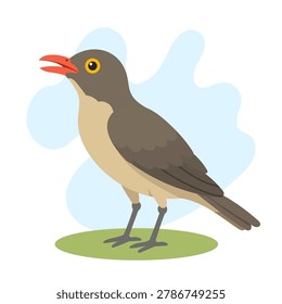 Red-billed oxpecker illustration featuring Buphagus erythrorynchus perched gracefully, red-billed oxpecker vector art celebrating Buphagus erythrorynchus.