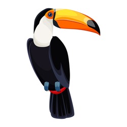 Red-billed Toucan Or Toucan Toco Ramphastos Toco. Tropical Bird. Colorful Vector Isolated, Transparent Background.