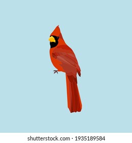 redbird northern red cardinal, male - vector illustration