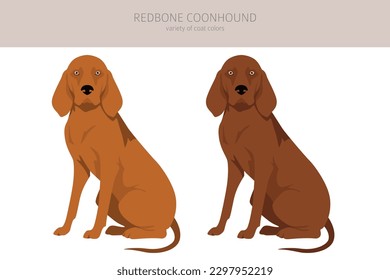 Clíparte de conhound de Redbone. Postas diferentes, colores de abrigo.  Ilustración del vector