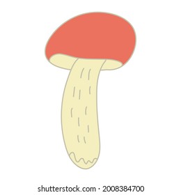 Red-cap boletus mushroom. Hand drawn doodle vector illustration with color outline isolated on white background. 