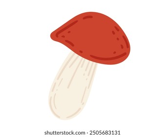 Red-capped bolete mushroom. Ideal for mushroom foraging, culinary designs, and nature-themed content. Vector illustration isolated on white background