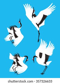 Red-crowned crane. Bird.
