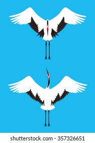Red-crowned crane. Bird.
