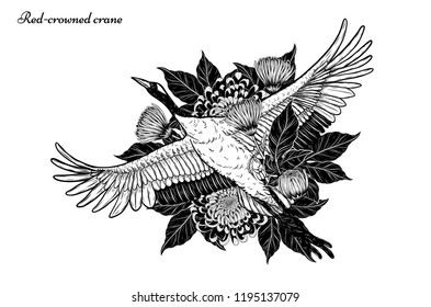 Red-crowned crane with Chrysanthemum vector by hand drawing.Beautiful bird on white background.Grus japonensis art highly detailed in line art style.Chinese bird for tattoo or wallpaper.
