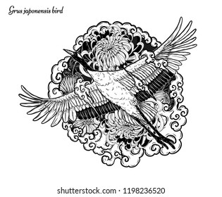 Red-crowned crane with Chrysanthemum vector by hand drawing.Beautiful bird on white background.Grus japonensis art highly detailed in line art style.Chinese bird for tattoo or wallpaper.