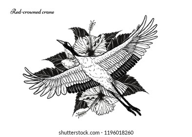 Envol Oiseaux Stock Illustrations Images Vectors