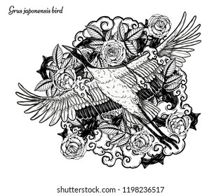 Red-crowned crane with rose vector by hand drawing.Beautiful bird on white background.Grus japonensis art highly detailed in line art style.Chinese bird for tattoo or wallpaper.