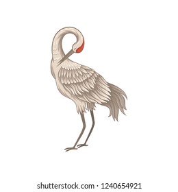 Red-crowned crane standing with tilted head down. Beautiful wild bird long thin beak, legs and neck. Flat vector icon