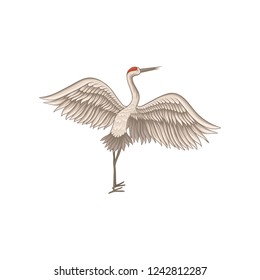Red-crowned crane standing with wide open wings. Wild bird with long thin beak, legs and neck. Flat vector design