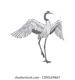 Red-crowned crane stands on one leg with spread wings sketch style, vector illustration isolated on white background. Front view of hand-drawn naturally dancing Japanese bird