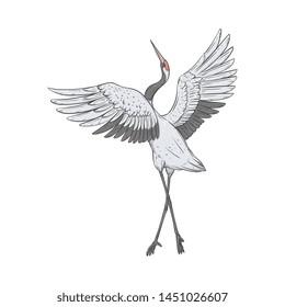 Red-crowned crane stands on one leg with wings raised up sketch style, vector illustration isolated on white background. Back view of hand-drawn naturally dancing Japanese bird