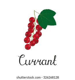 Redcurrant berries isolated on white background with lettering.