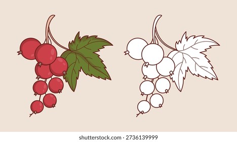 Redcurrant Berry Branches with Leaf Set. Isolated Red Currants in Color and Outline Drawing. Coloring Page. Vector Illustration 