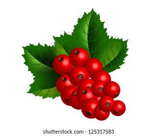 Redcurrant branch isolated over white