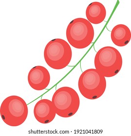 Redcurrant icon cartoon vector illustration berry food vitamin tasty