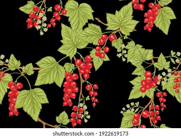 Redcurrant red ribes. Ripe berries. Seamless pattern, background. Vector illustration. In botanical style on black background