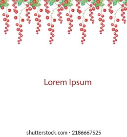 Redcurrant watercolor horizontal seamless pattern on white background Lorem ipsum stoock wector illustration for web, for print, for product design, for packing design