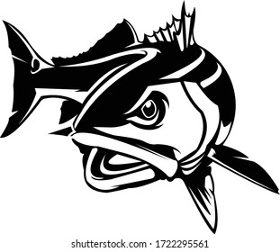 Download Red Drum Fish High Res Stock Images Shutterstock