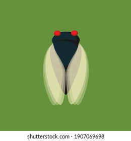 red-eyed black cicada on green background with vibrating wings