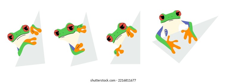 red-eyed tree frog cute and paper  ,vector illustration