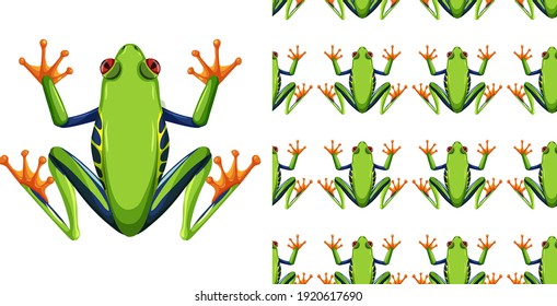 Red-eyed tree frog isolated on white background and seamless illustration