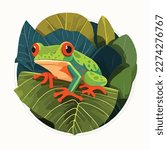 Red-eyed tree frog on a tropical leaf in the rainforest. Tropical rainforest reptiles animals. Flat vector illustration concept