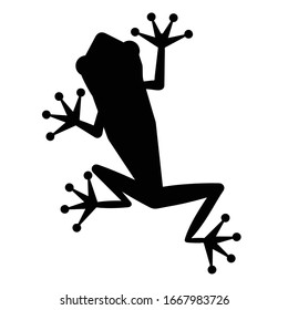 Red-eyed Tree Frog Silhouette, Black And White 